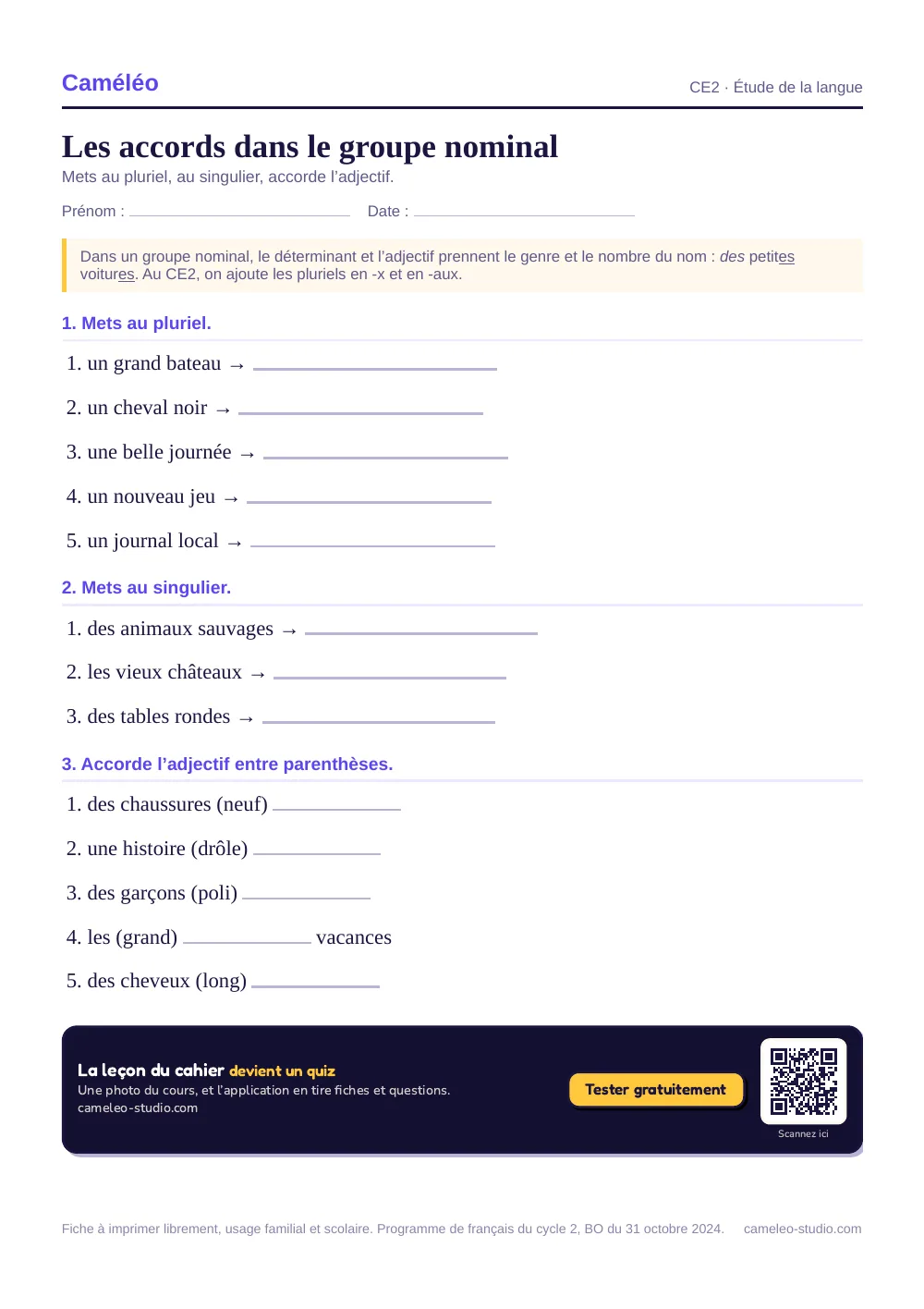 Exercices à imprimer : Les accords dans le groupe nominal, CE2