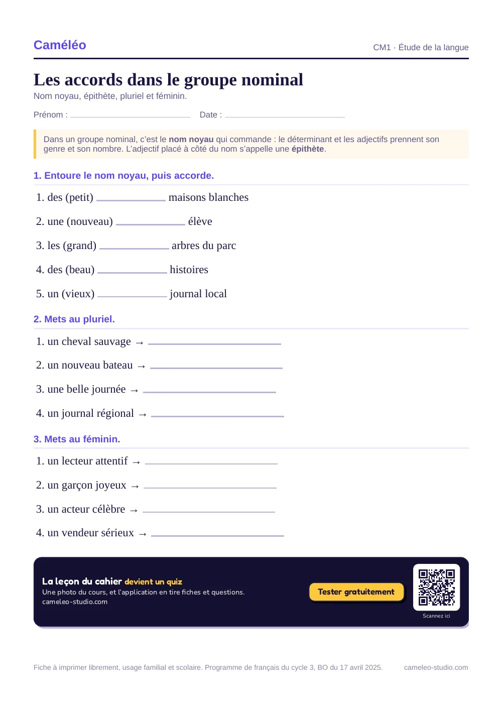 Exercices à imprimer : Les accords dans le groupe nominal, CM1