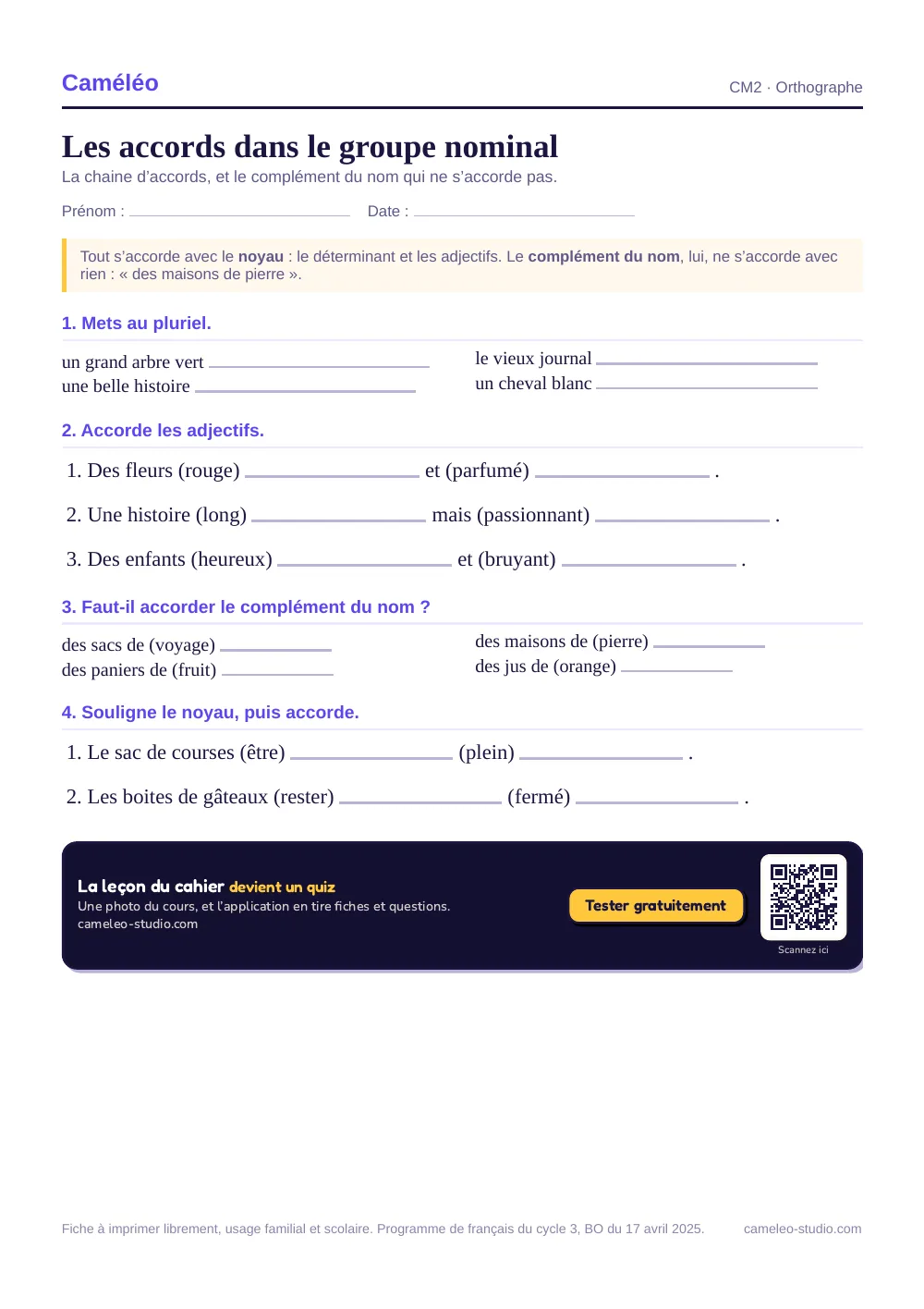 Exercices à imprimer : Les accords dans le groupe nominal CM2