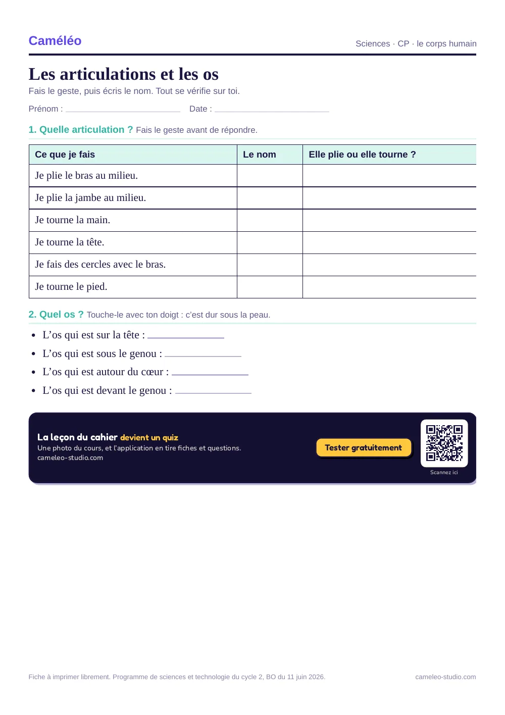 Exercices à imprimer : Les articulations et les os, CP