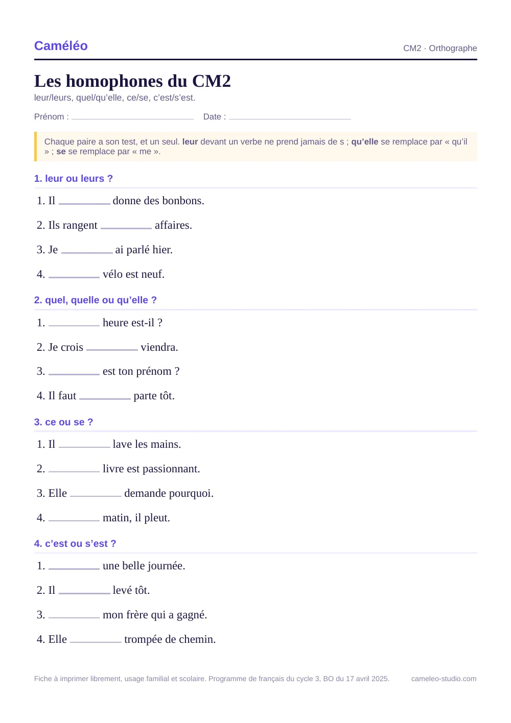 Exercices à imprimer : Les homophones du CM2