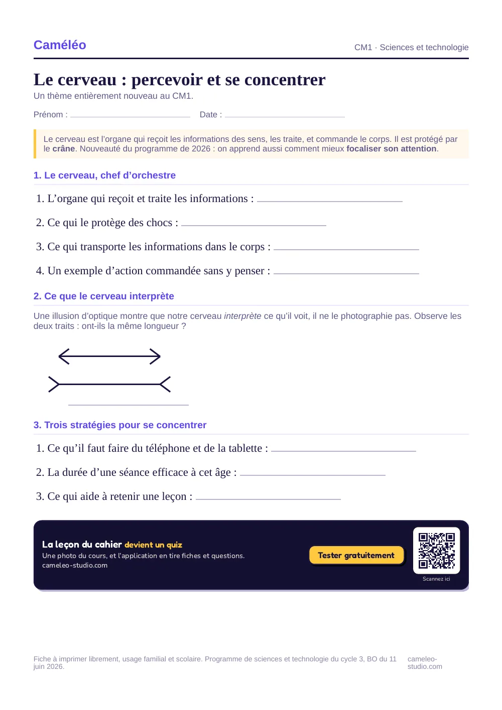 Exercices à imprimer : Le cerveau : percevoir et se concentrer, CM1