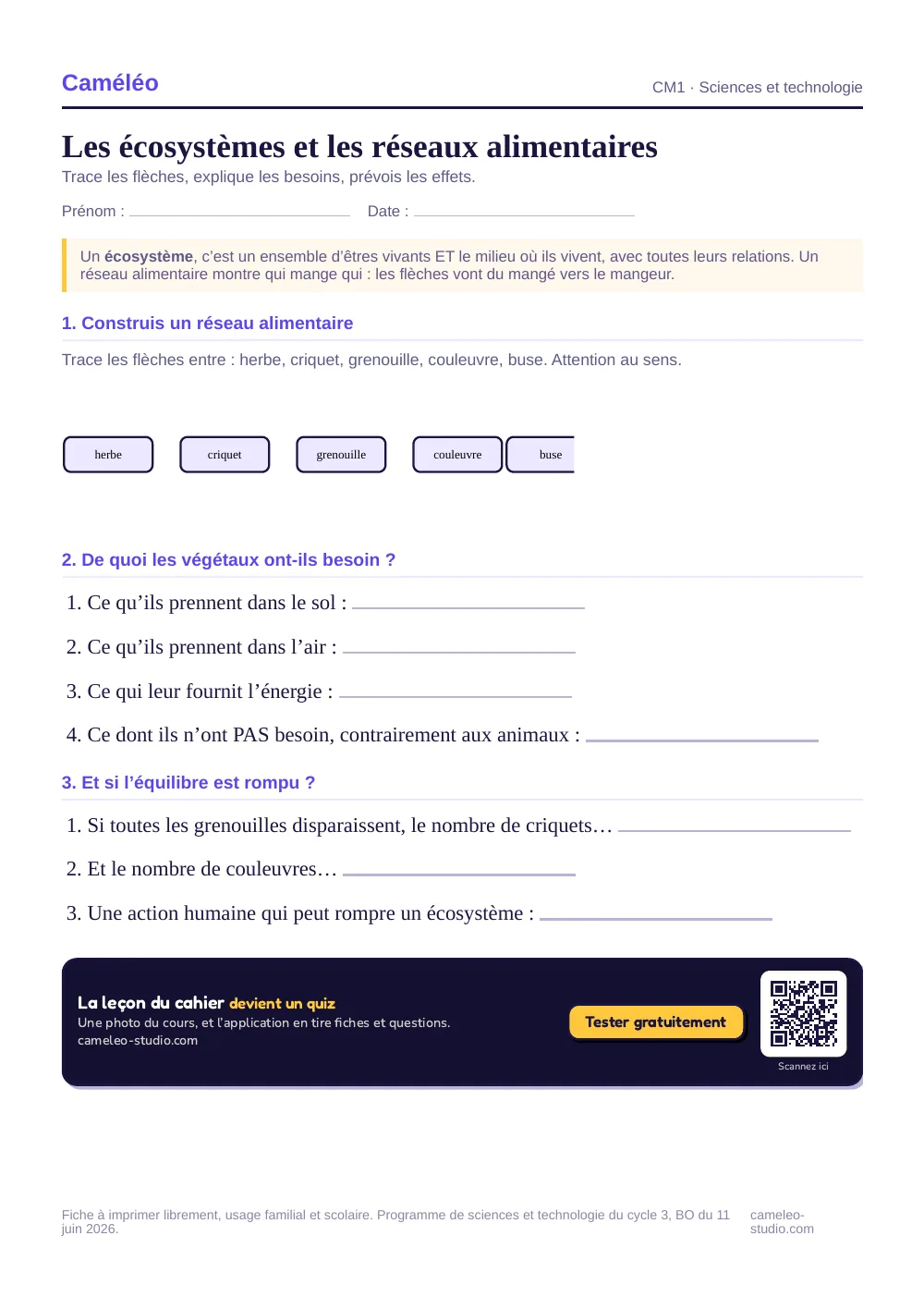 Exercices à imprimer : Les écosystèmes et les réseaux alimentaires, CM1