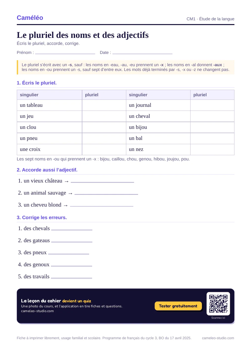 Exercices à imprimer : Le pluriel des noms et des adjectifs, CM1