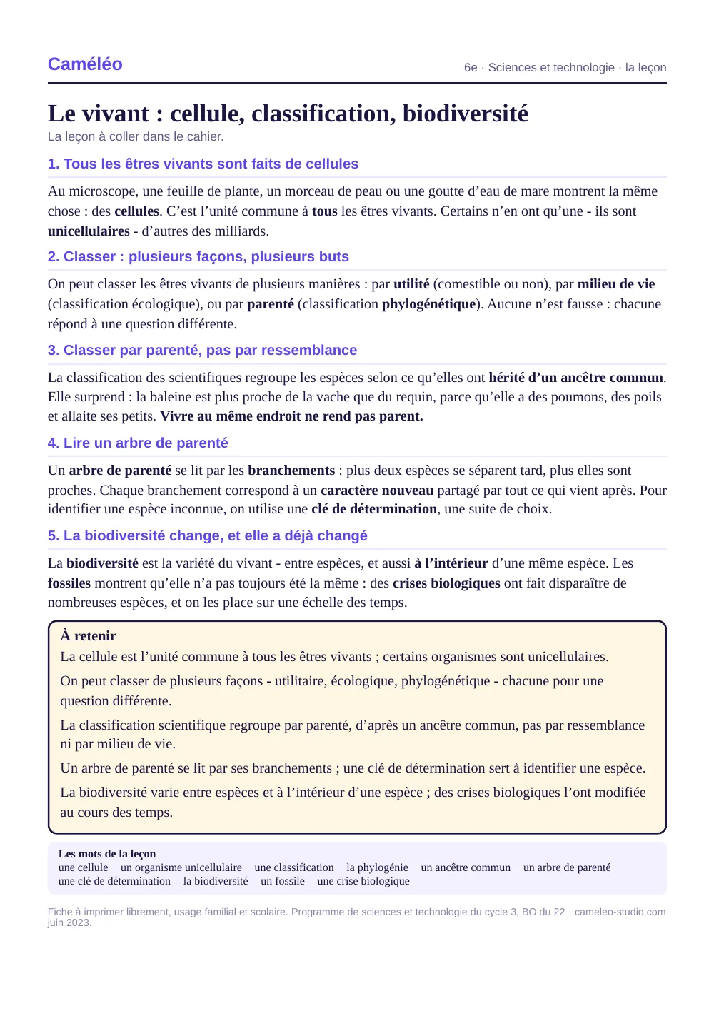 La leçon à imprimer : La leçon à coller dans le cahier, 6e
