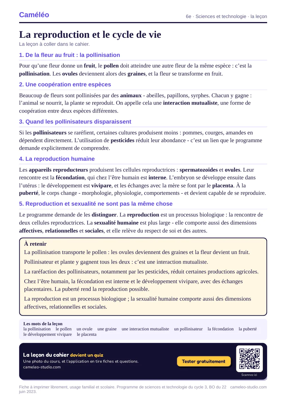 La leçon à imprimer : La leçon à coller dans le cahier, 6e